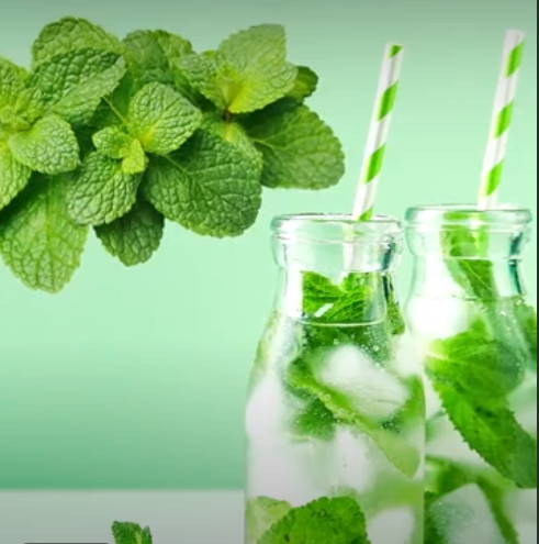गर्मियों में पुदीना शरीर को देता है ठंडक