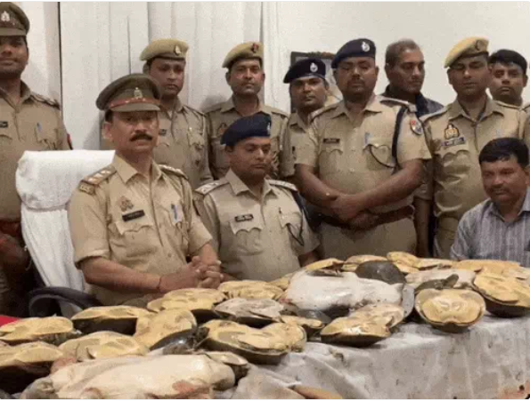 वाराणसी में पकड़े गए 60 दुर्लभ कछुए, 6 बैग में भरे मिला
