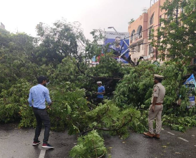 लखनऊ में रात में आया तेज तूफान, कई जगह पेड़ गिरे