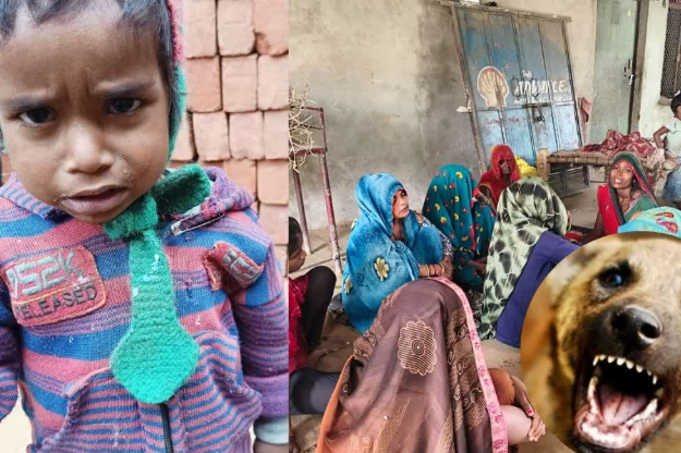 अलीगढ़: कुत्ते के काटने से 3 साल के बच्चे की मौत