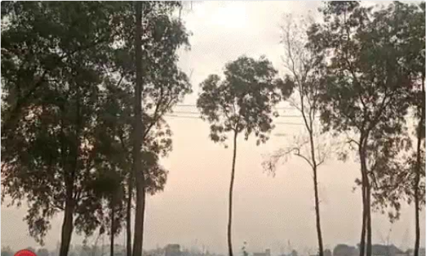 झारखंड में 18 मई तक गर्मी से राहत, 15 जिलों में बारिश के यलो अलर्ट