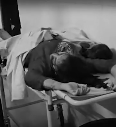 गिरिडीह: पेड़ से टकराई तेज रफ्तार कार, पति-पत्नी समेत बेटे की मौत