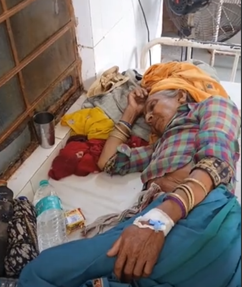 करौली: भालू ने एक बुजुर्ग महिला पर किया हमला, परिजनों ने पहुंचाया अस्पताल