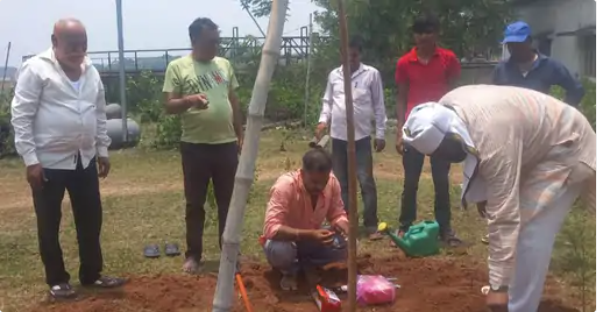 बुद्ध पूर्णिमा पर पौधरोपण कर गौतम बुद्ध के तैल्यचित्र पर किया गया माल्यार्पण