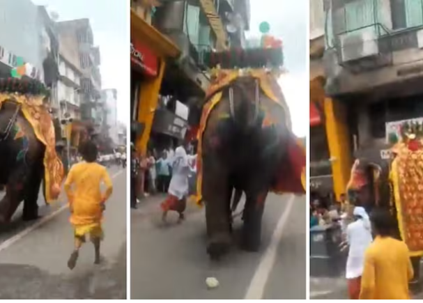 अहमदाबाद: जगन्नाथ की भव्य रथ यात्रा के दौरान एक हाथी हुआ बेकाबू , लोगों में मची भगदड़