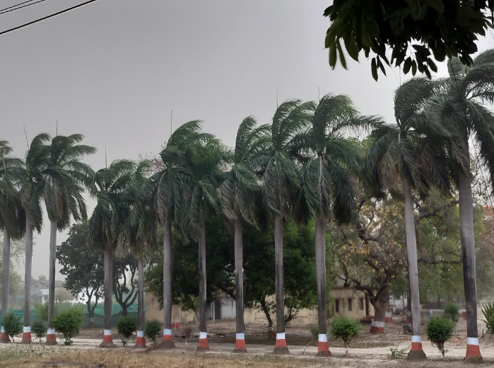अयोध्या के मिल्कीपुर में रात की बूंदाबांदी से मौसम में बदलाव