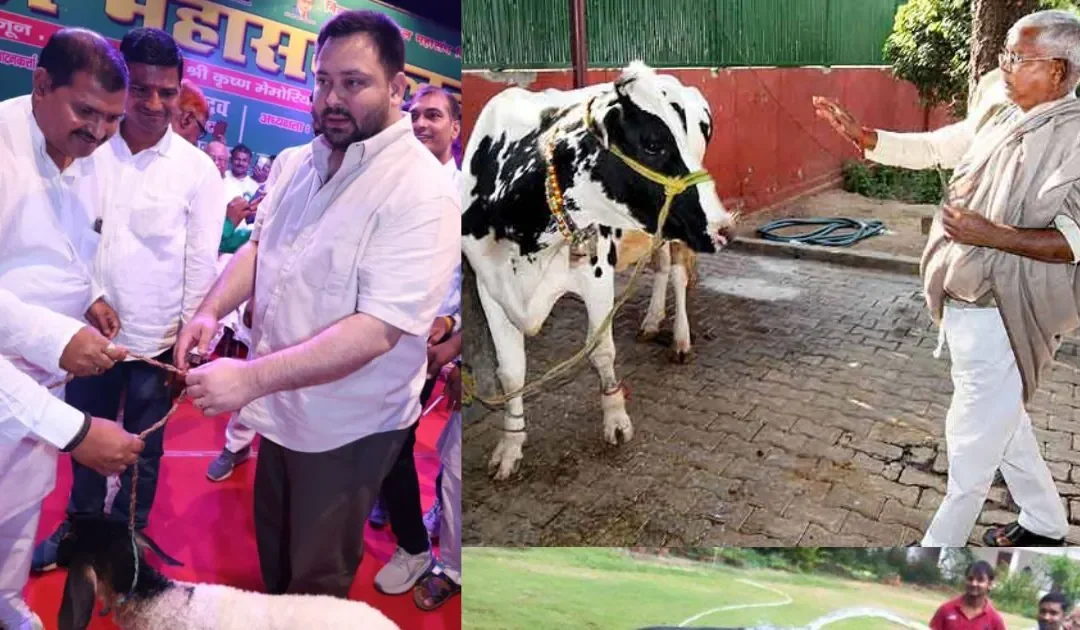 तेजस्वी ने विधानसभा चुनाव से पहले चला नया दांव