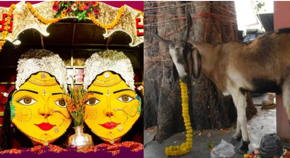 दिल्ली के कालकाजी मंदिर में सेवादार की हत्या करने वाले कौन?