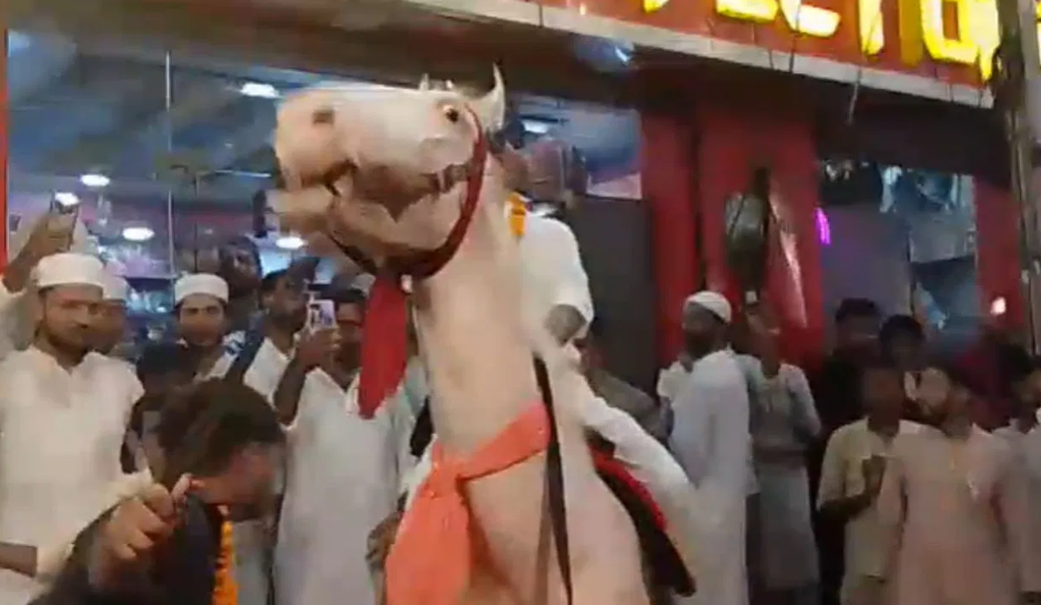 ईद-मिलादुन्नबी के जुलूस में बिदका घोड़ा, लोगों की अटकी सांसें